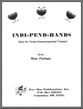 INDI PEND HANDS TIMPANI SOLO cover